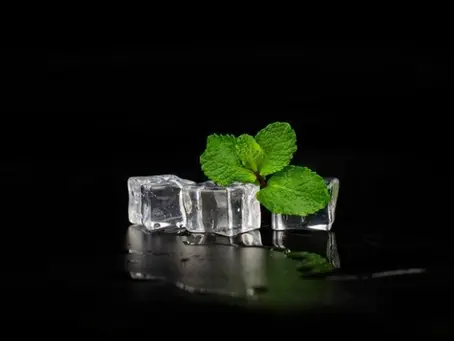 Fast Ice Maker Repair Services