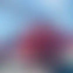 Critical Care Flight Guide -air ambulance