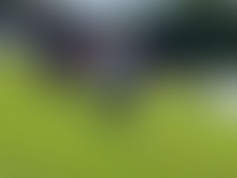 2022 Summer Barbecue