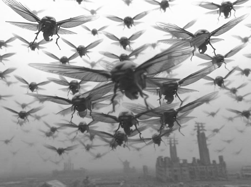 insect-sized drones flying over a city