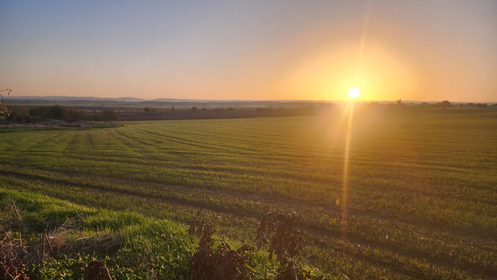 WhatsApp Image 2026-02-20 at 10.29.22 (1).jpeg