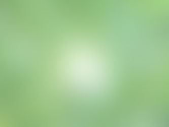 מחוסר ביטחון להובלה חברתית