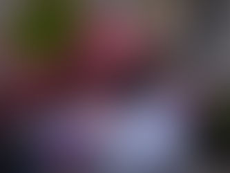 Top Tips To Commissioning a Custom wig With Me !