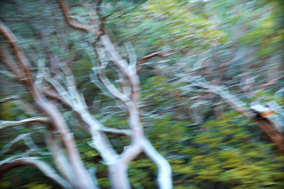 DSCF4782-2.jpg