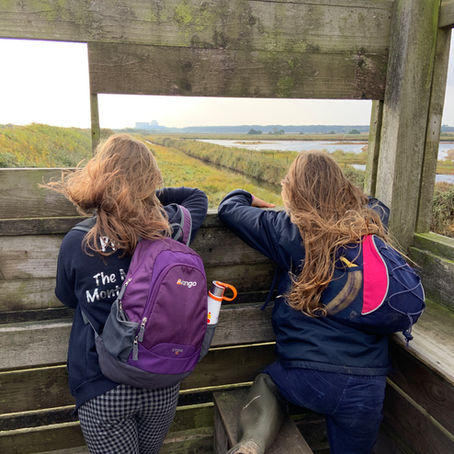A trip to Minsmere