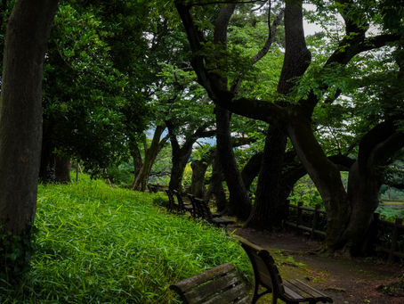 The Power of Presence: Life, Work, Art