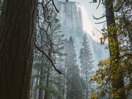 The Thrill of the Unexpected