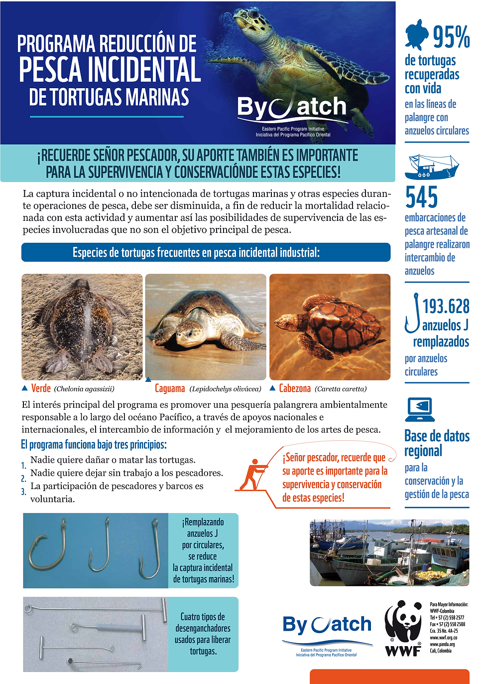 BY CATCH