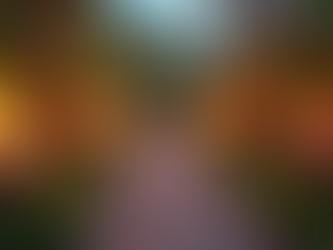 Guide to Personalized Luau Planning