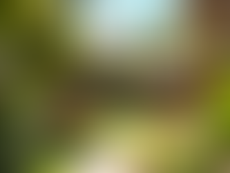 Step-by-Step Guide to Custom Luau Party Planning