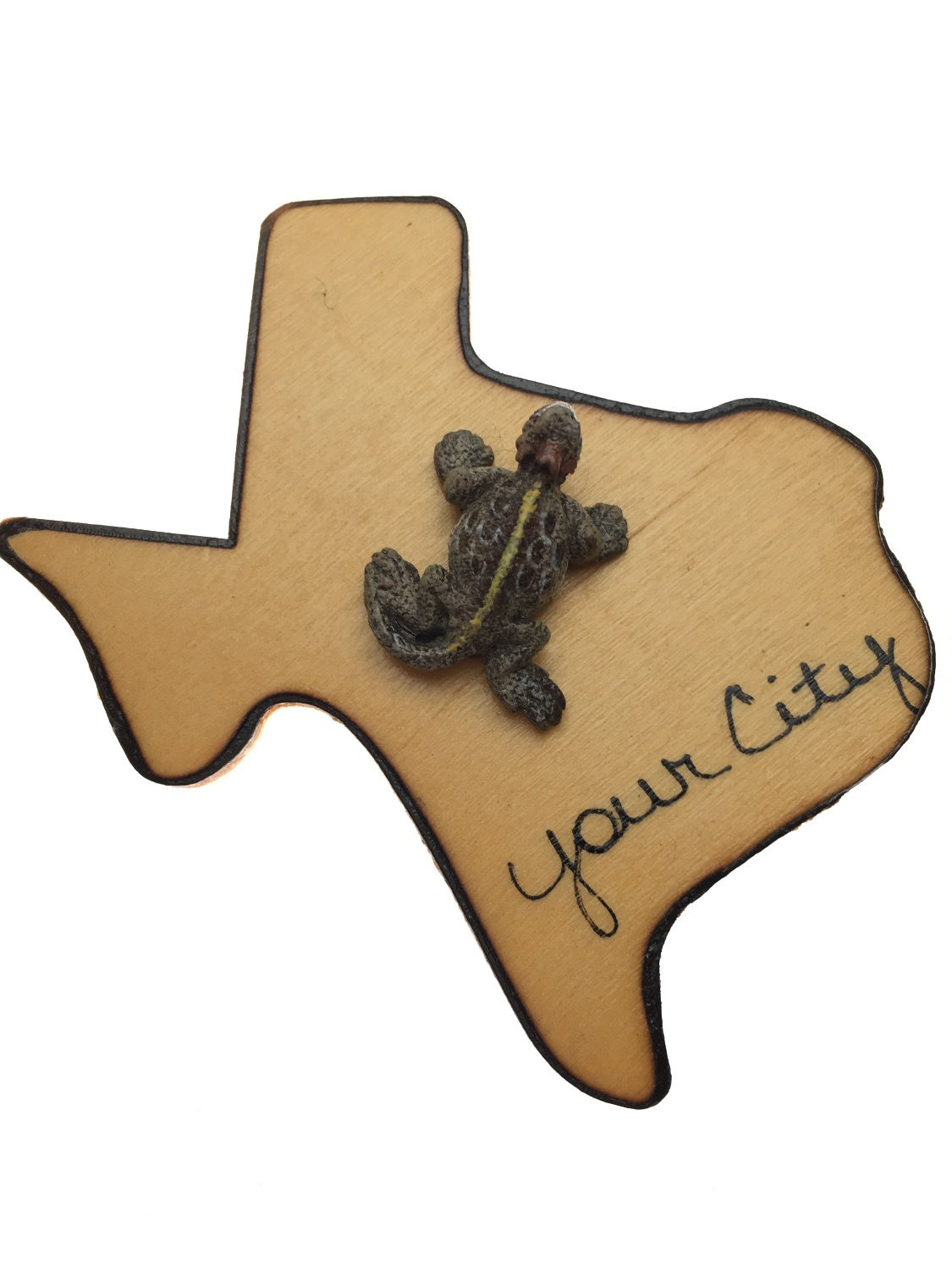 Horned Toad on Texas Magnet