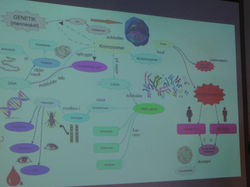 Photo 31-01-14 13.15.59 (1).jpg