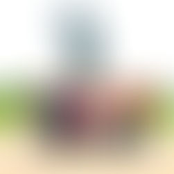 अग्निपथ योजना के विरोध में 19 जून को गांव चौटाला के नौजवान फुकेंगे मोदी का पुतला 