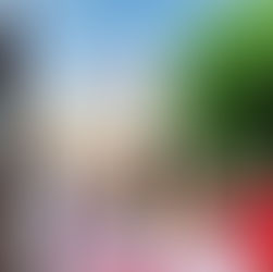 युवाओं ने 'हर घर तिरंगा' अभियान चलाया
