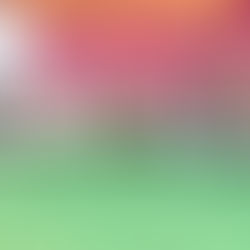 अबूबशहर एनएचएआई प्लांट के सामने हाइवे पर किसानों ने लगाया पक्का मोर्चा