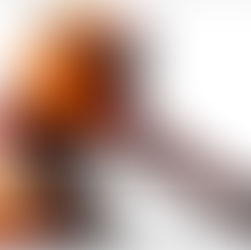 Breaking News: अमृतपाल सिंह भगोड़ा करार
