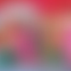 राजकीय सीनियर सेकेंडरी स्कूल चल रही 20 दिवसीय लोक संगीत व लोकनृत्य कार्यशाला का शनिवार को समापन 