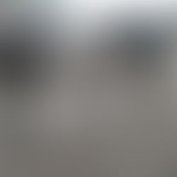 डबवाली गौशाला में 100 से अधिक गौवंश लंपी स्किन डिसीज महामारी की चपेट में, प्रबंधन कमेटी ने की सहयोग 