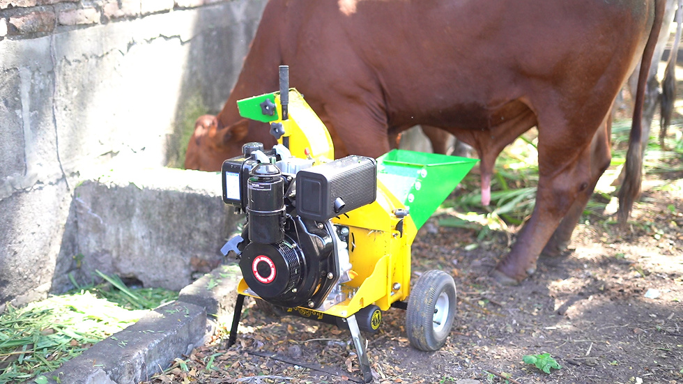 foto-c640-cutterman=vacas.png