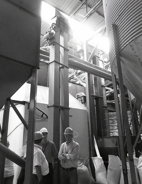 Agrotul_Teamwork_photos_v2_x2.jpg