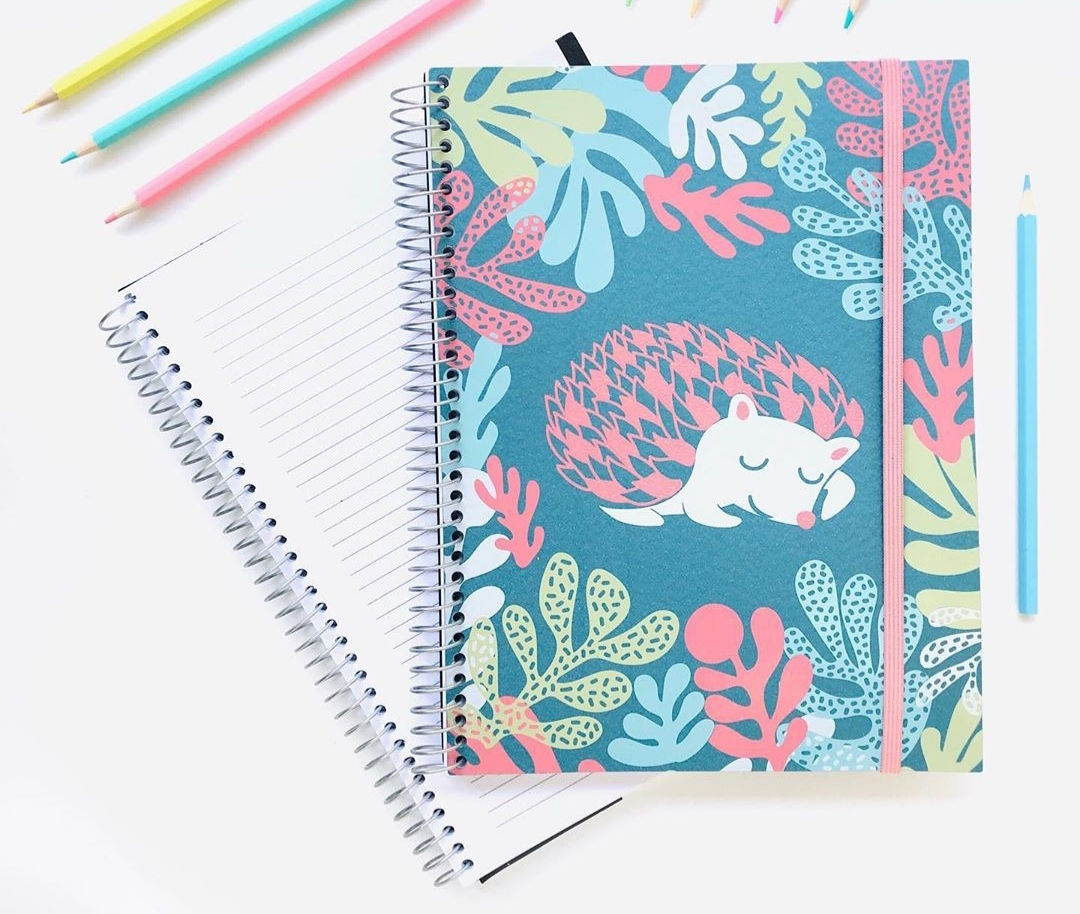 Caderno Zoo Porco - Espinho