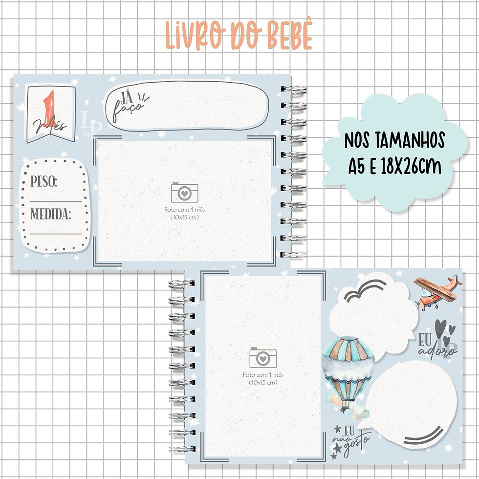 Miniatura: Livro do Bebê - Transporte Aéreo