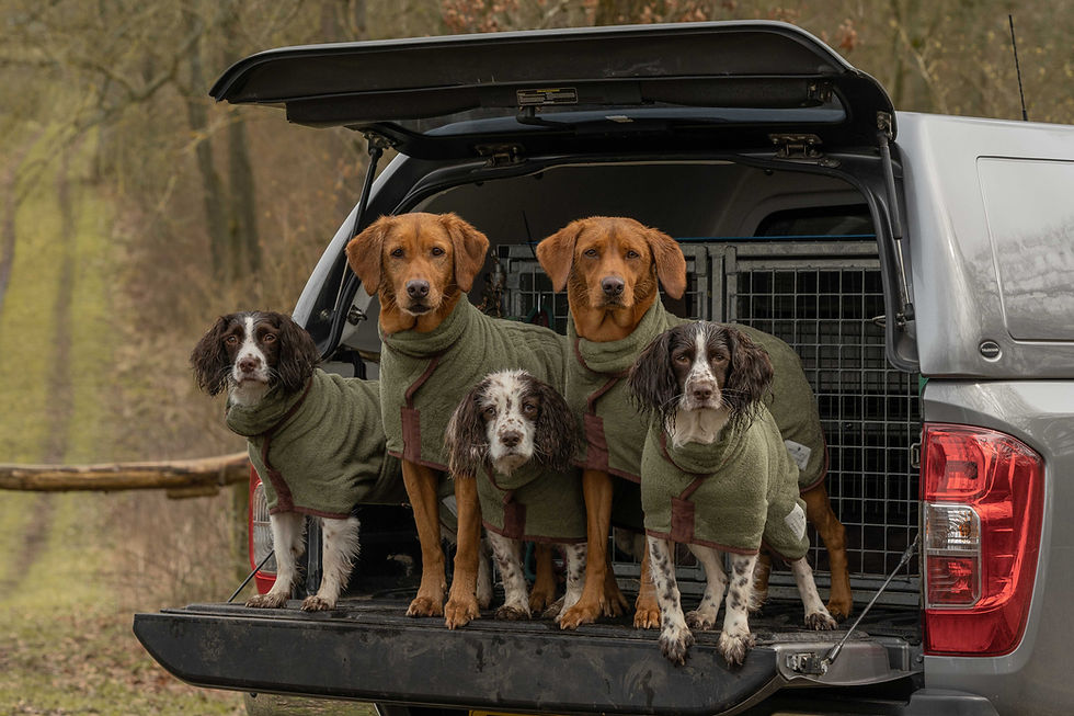 Thumbnail: Country Drying Dog Coat - Corduroy Trim (Moss)