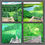 Thumbnail: Glenora Summer
