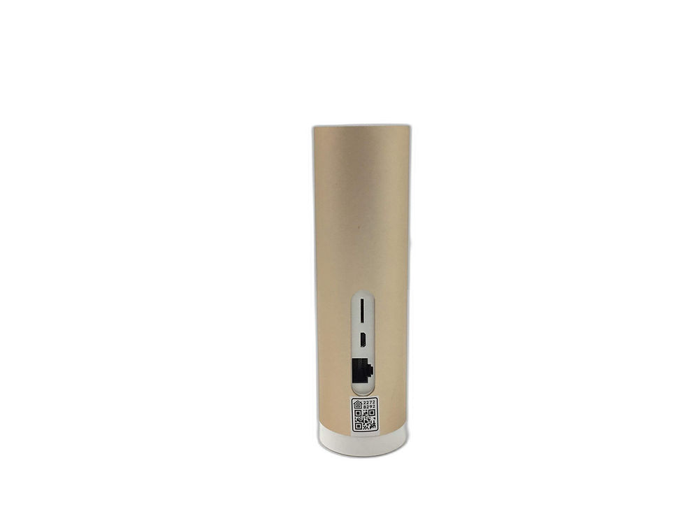 Miniatura: Netatmo Webcam 2272