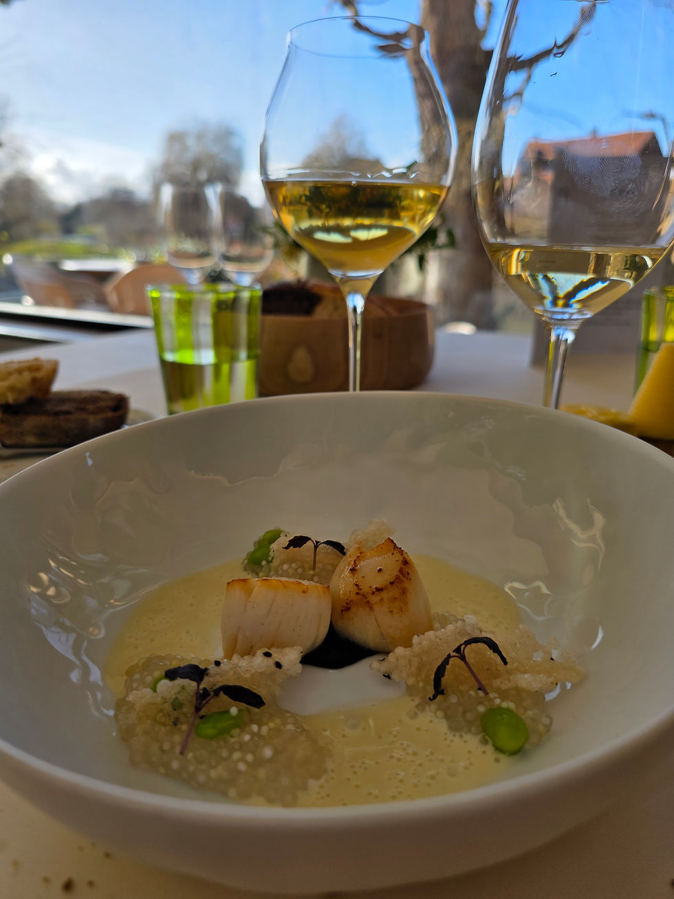 Noix de Saint-Jacques au tapioca et wasabi, sauce au saké