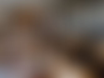 Le Navigateur (La Seyne-sur-Mer)