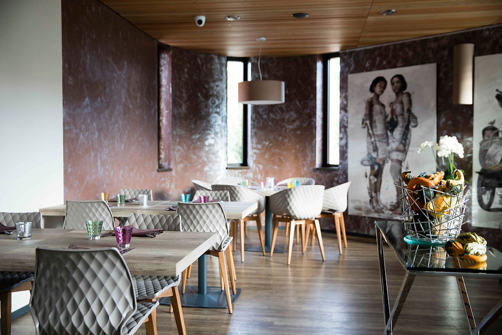 Le Bellevue : 28 route de Wuenheim - 68360 Soultz - 03 89 76 55 21