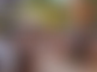 Le Mas de la Frigoulette (Sanary-sur-Mer)