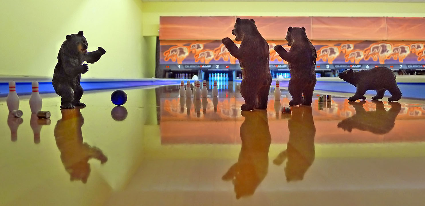 Bears, Bears and Bowling