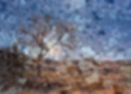 Little Lights on Slick Rock