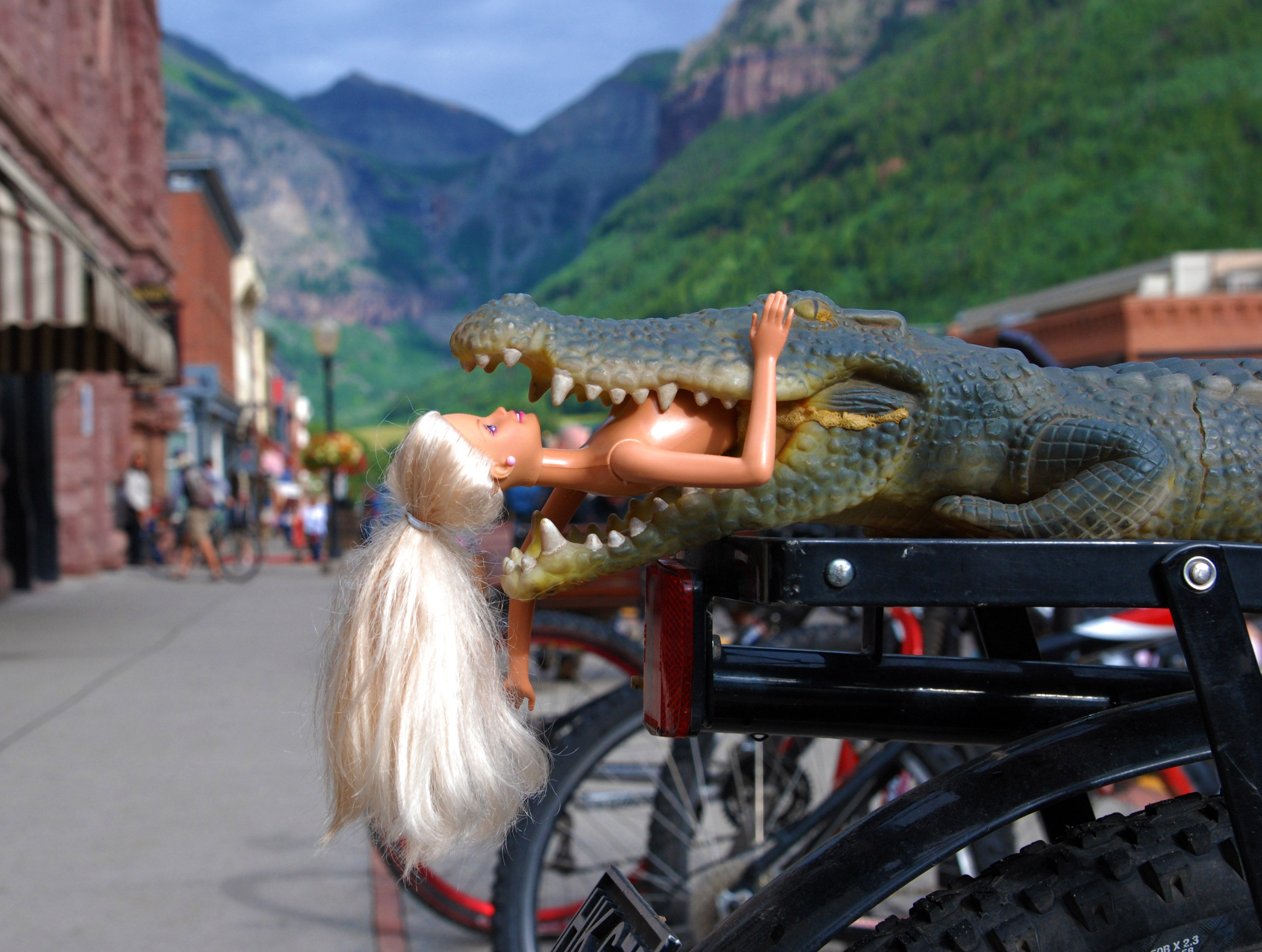 Telluride Bike Rack