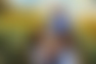 Capturing the Beauty: Limited Edition Sunflower Patch Photography Sessions at Grinter's Sunflower Farm 📷