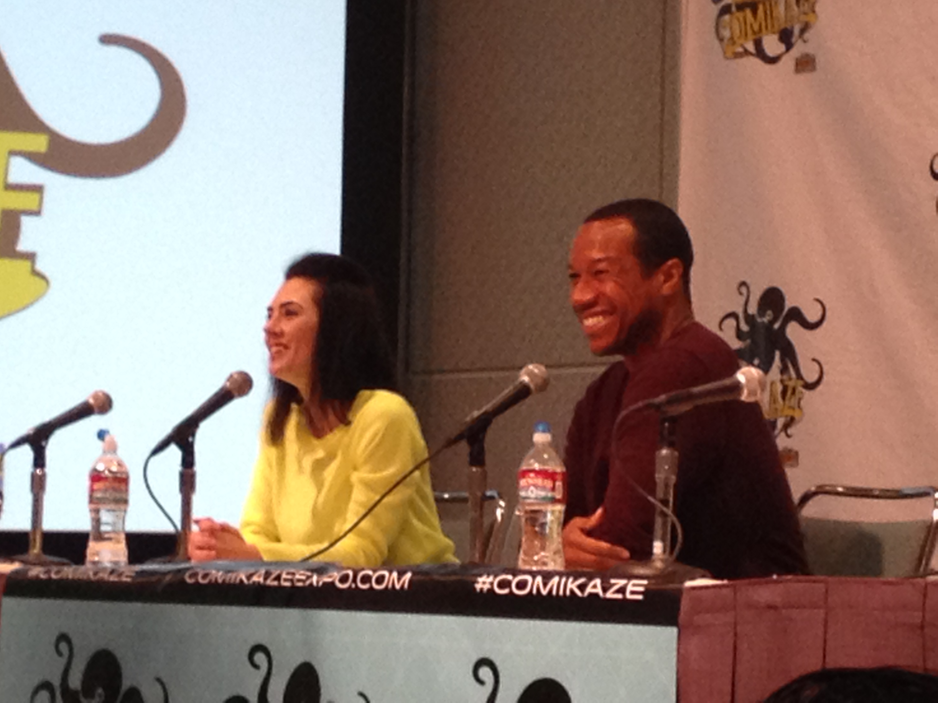 Star Trek Renegades panel