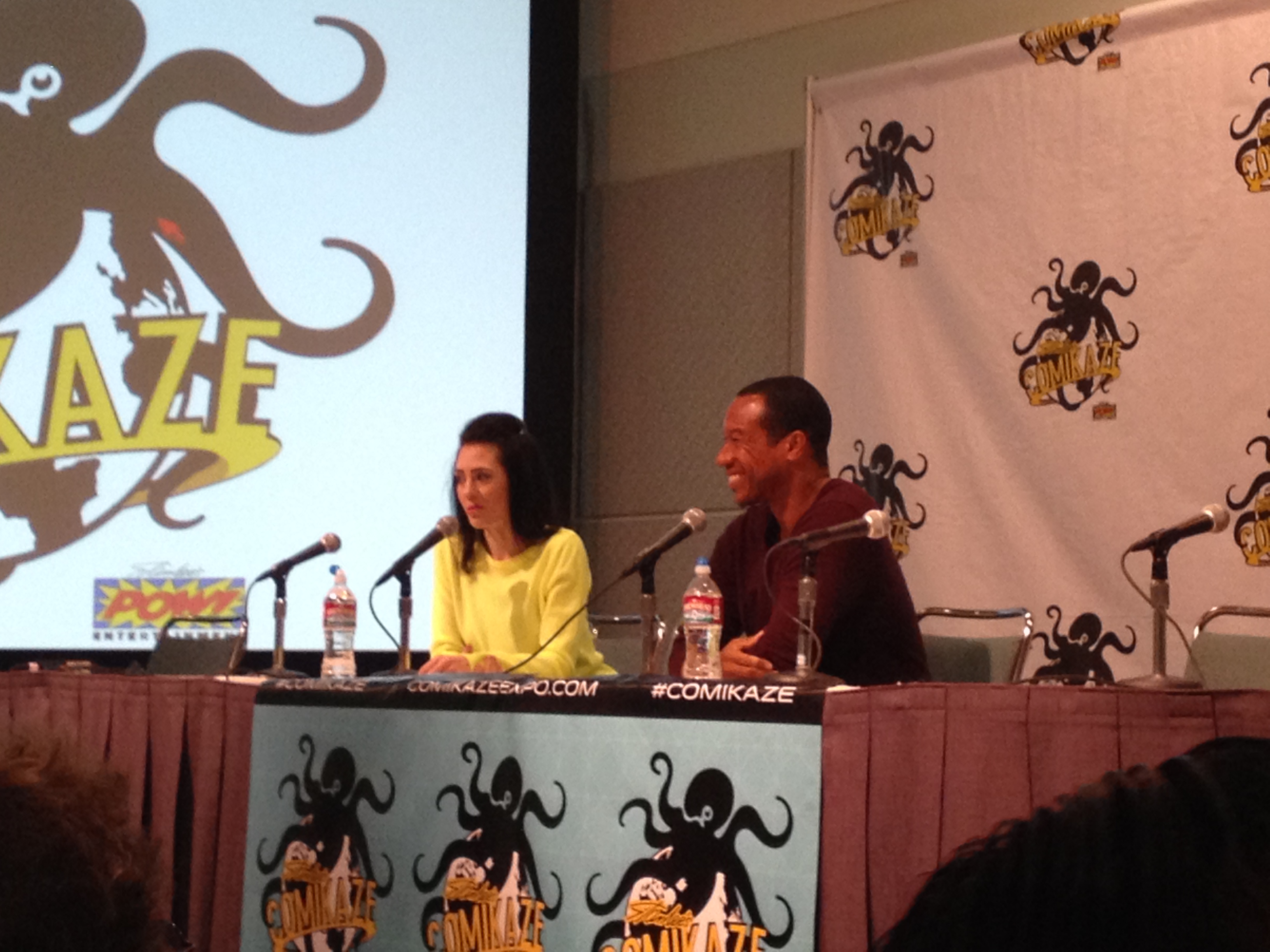 Star Trek Renegades panel