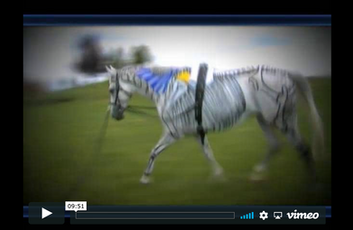 "Trot" If Horses Could Talk