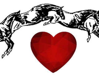 The Heart of a Horse – A Tribute to Susan Harris