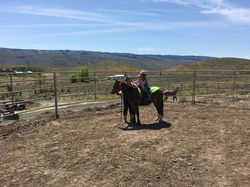 The girls were riding today!