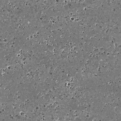 Ground039_2K_Roughness