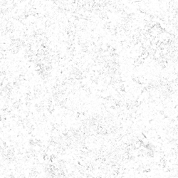 Ground037_2K_AmbientOcclusion