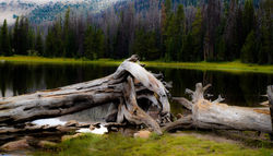 photo-1508787094006-e564151d4b12