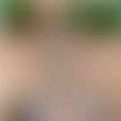 Scott Spiezio appearance