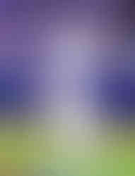 Jay Jackson with the Minnesota Twins