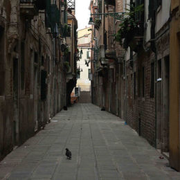 "Capturing Love in Delhi: The Top 6 Pre-Wedding Photoshoot Locations"