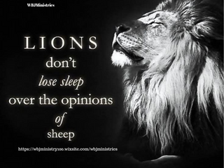 Roaring Beyond Opinions; Wisdom of the Lioness, Light of the Chakras, and Lessons from Harlem to the Heavens