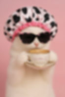 Coffe Cat